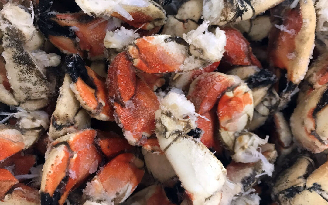 Jonah Crab